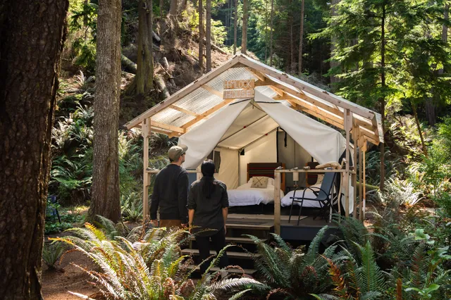 Hemlock House, a canvas-walled guest cabin in the rainforest
