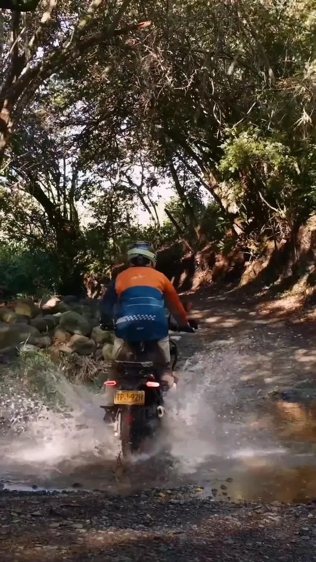 Riding a stream bed under the trees