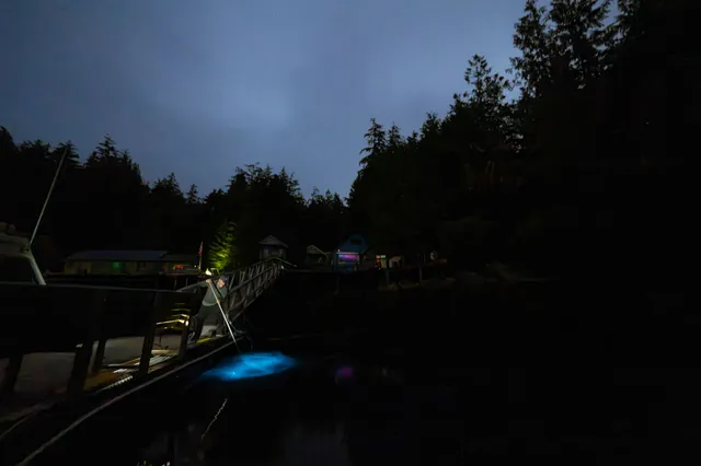 God's Pocket Resort