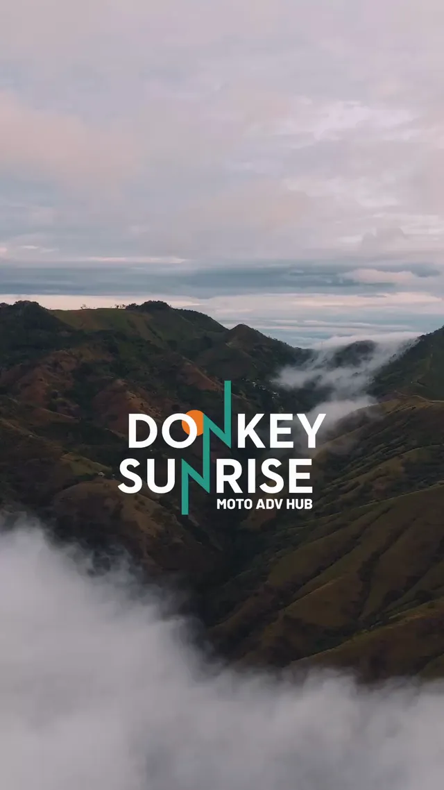 Vertical cut of the Donkey Sunrise film, made for Instagram