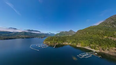 Moutcha Bay Resort and marina from the air, Nootka Sound