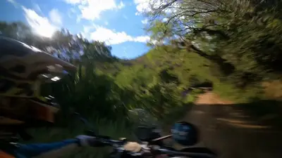Riding fast down a green trail