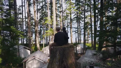 Guests on a mossy stump above the tented cabins