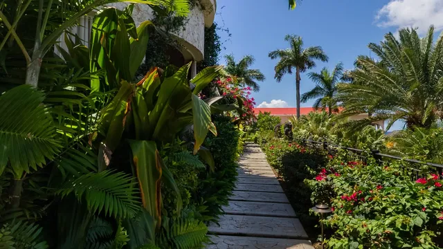 The walkway down to Long Bay
