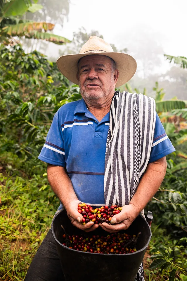 A coffee farmer near La Unión, Colombia