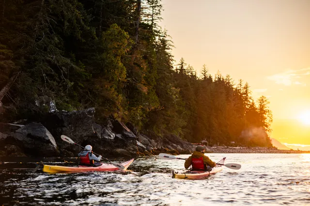 Two sea kayakers along a sunlit forested shore