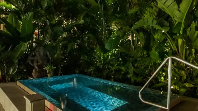 The jacuzzi, set into the gardens