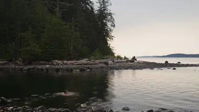 A kayaker crossing the calm bay below the forest