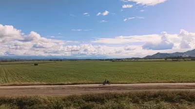Cane fields running out to the mountains