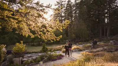 Lightwater Cove: Video
