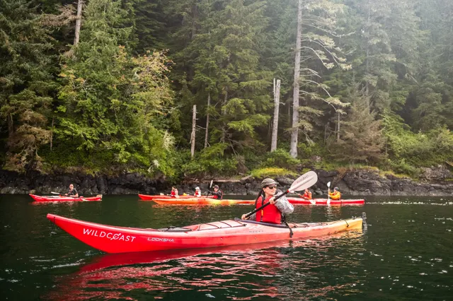 Group of sea kayakers below a misty rainforest shoreline